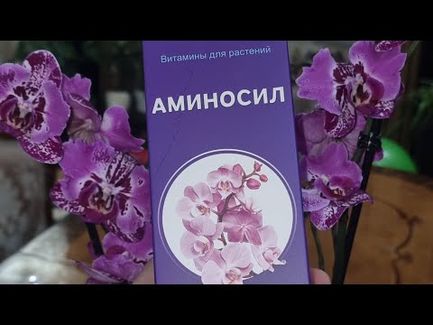 Видео: Аминосил Для Орхидей. Пробуем.