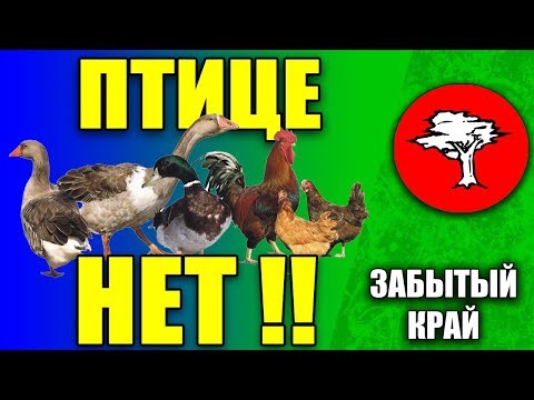 Видео: Птице - НЕТ! // Птицеводство в ЛПХ не выгодно