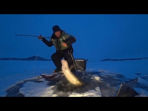 Видео: НАЛИМ КЛЕВАЛ ВСЕ КРУПНЕЕ И КРУПНЕЕ !!!