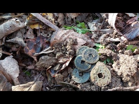 Видео: Кошелёк и нычка? Вернулся в те же места, результат порадовал. 1 серия.