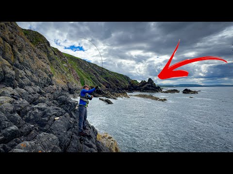 Видео: Я открыл для себя рай для рыбалки — ГИГАНТСКУЮ РЫБУ 🤫