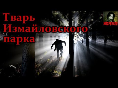 Видео: Истории на ночь - Тварь Измайловского парка