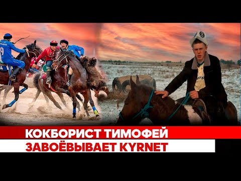 Видео: Кокборист Тимофей завоёвывает kyrnet