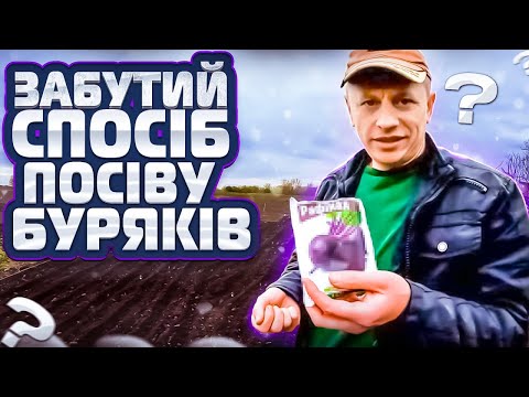 Видео: ⁉️Забутий спосіб посіву буряків і моркви і креатив під час сівби гороху