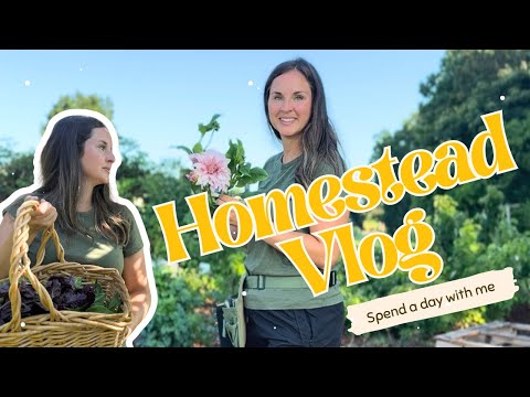 Видео: Homestead Vlog: Присоединяйтесь ко мне на день