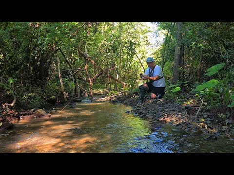 Видео: Рибалка На Струмку Спінінгом