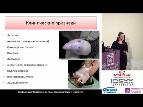 Видео: Кузнецова А. Л. - Миелодиспластический синдром в онкологии - мой клинический случай