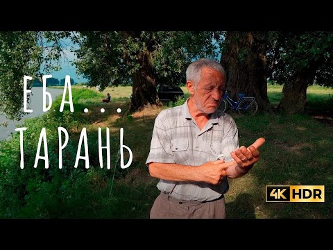 Видео: ЕБА ТАРАНЬ. РЫБАЛКА НА РЕКЕ КУБАНЬ. КАКИЕ ВИДЫ РЫБ И СКОЛЬКО ЛОВИЛИ РАНЬШЕ НА РЕКЕ КУБАНЬ.