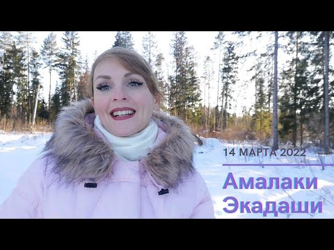 Видео: Волшебный день, способный изменить Вашу судьбу к лучшему. Амалаки Экадаши, 14.03.22