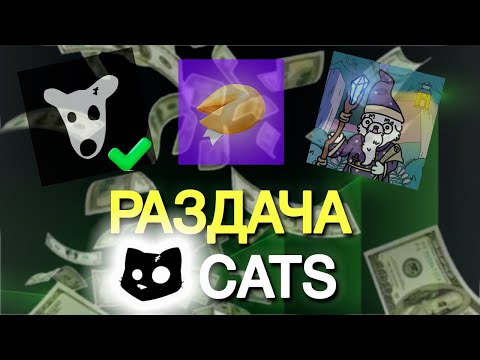 Видео: АИРДРОП от CATS скоро ! УСПЕЙ ЗАБРАТЬ МОНЕТЫ!