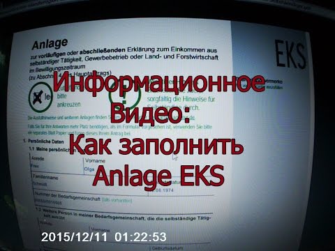 Видео: Как заполнить Anlage EKS