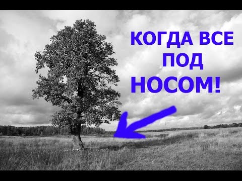 Видео: НАХОДКИ НА ЦЫГАНСКОЙ ПОЛЯНЕ!!!.............................Охота за сокровищами!