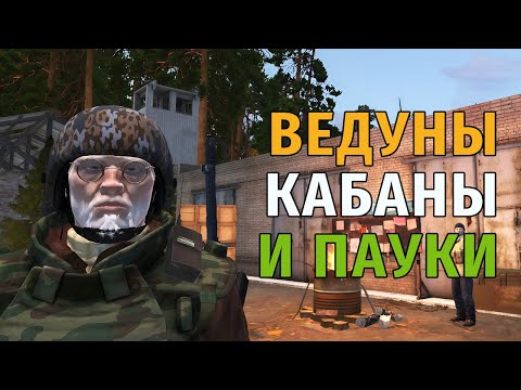 Видео: 17. Ведуны, кабаны и пауки Чёрного Леса. Stay Out | RU2