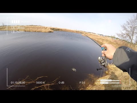 Видео: Апрельская рыбалка на ультралайт и мормышинг. Северная канава. Дубна