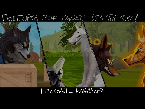 Видео: (Присутствуют маты) Подборка моих видео из Тик Тока WildCraft! (Приколы)