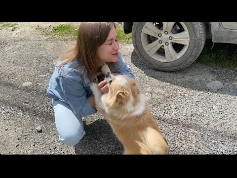 Видео: #ВСТРЕЧА😍#ПЕРВЫЕ  ЯГОДЫ 🍓#РЫБА НА УЖИН🐟#ВКУСНО👍👍👍