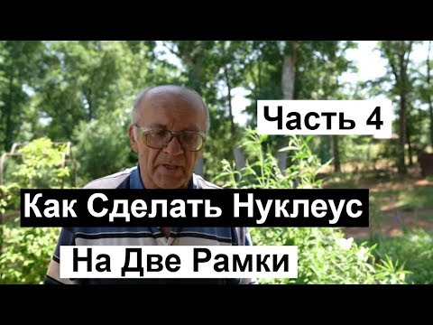 Видео: Пасека №125 Как построить нуклеус на две рамки Пчеловодство для начинающих
