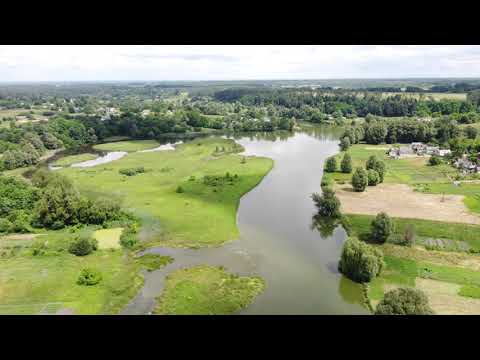 Видео: Троянів