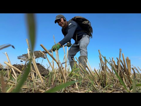 Видео: ЭТОТ КОП Я ЗАПОМНЮ НАДОЛГО! DANGEROUS METAL DETECTING