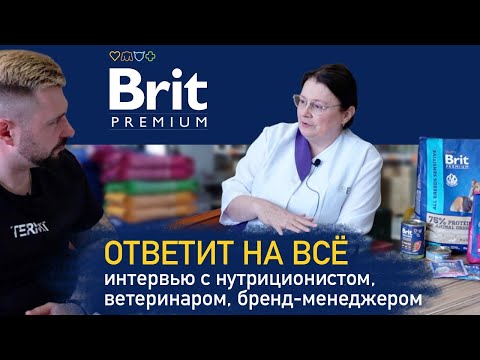 Видео: Brit отвечает на вопросы зрителей | Какие консерванты в корме, что с Brit Care, вет. диетой и т.д.