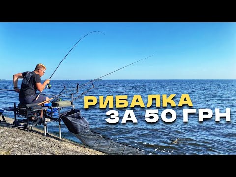 Видео: Скільки риби можна спіймати на 50 гривен❓ КЛЮНУВ ДРАКОН⁉️ Фідерна рибалка на ДНІПРІ‼️