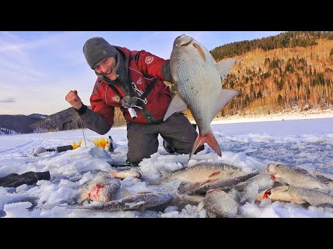 Видео: КРУПНЯК ЛОМАЕТ КРЮЧКИ! ПОПАЛ НА ХОД РЫБЫ ПО ПЕРВОЛЕДЬЮ! Ловля леща по первому льду на КВХ