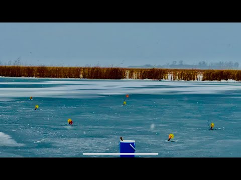Видео: ОПАСНЫЙ ПЕРВЫЙ ЛЕД 2025-26 НА ИШИМЕ! НЕ УСПЕЛИ РАССТАВИТЬСЯ И СРАЗУ ЗАГАР! 