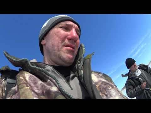 Видео: Алтай, Песчаное, окунь клюет! Шесть дней на льду в палатке.