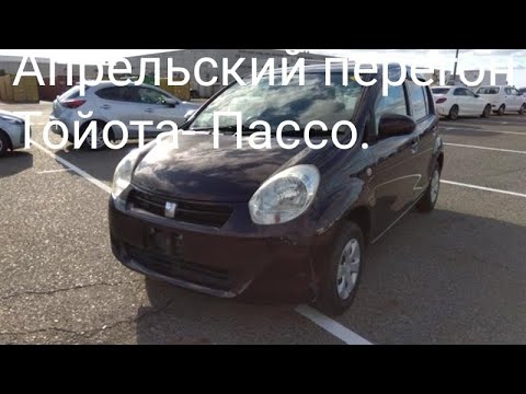 Видео: Перегон Тойота-Пассо. Витц или все-таки  Пассо , что выбрать?