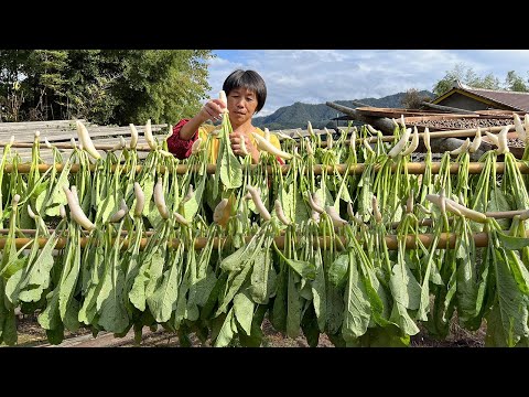 Видео: Бабушка мариновала рассаду редьки, чтобы через 8 дней сделать капусту квашеной