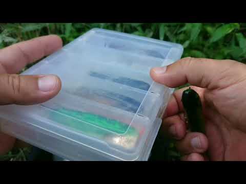 Видео: Распер на р. Дунав