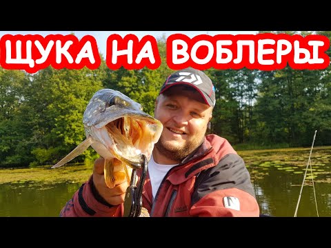 Видео: Ловля щуки на воблеры. Рыбалка на малой реке. Твичинг