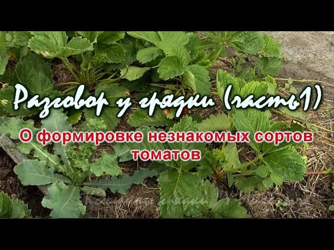 Видео: ИЮНЬ НА ДАЧЕ.    Разговор у грядки ( часть 1) О формироке незнакомых сортов.