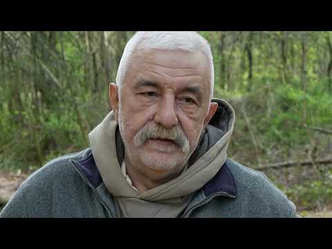 Видео: Димитър Куманов - за вредите от златодобива