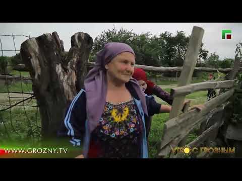 Видео: Утро в селе Бамут