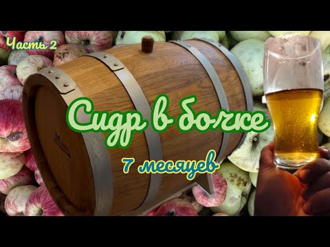 Видео: Сидр в бочке из славонского дуба провел 7 месяцев. Часть 2. #сидр #дубоваябочка 