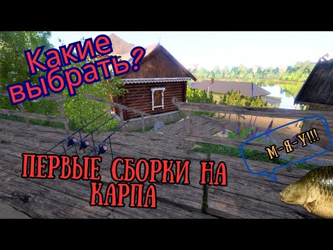 Видео: Русская рыбалка 4. Первые сборки на карпа. Какие выбрать?