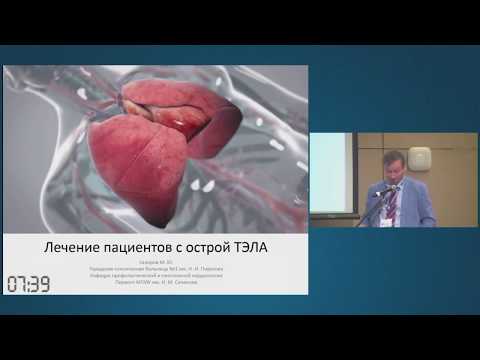 Видео: Лечение пациентов с острой ТЭЛА. Гиляров М.Ю.