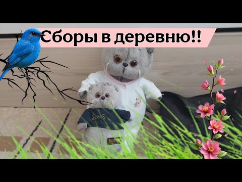 Видео: Сборы в деревню с БАСИКАМИ!