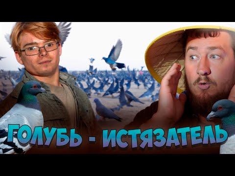 Видео: ГОЛУБЬ - ИСТЯЗАТЕЛЬ ДЕТЕЙ "За гранью"