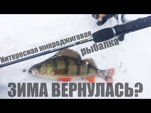 Видео: Интересная микроджиговая рыбалка. Зима вернулась?