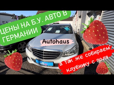 Видео: Сколько стоит авто в Германии/Автохаус/Собираем клубнику в поле/цены на б/у авто в Германии в 2023 г