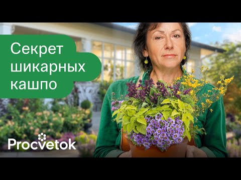 Видео: КЛУМБА В ГОРШКАХ! Главные правила посадки растений в кашпо для обильного цветения при минимуме уходе
