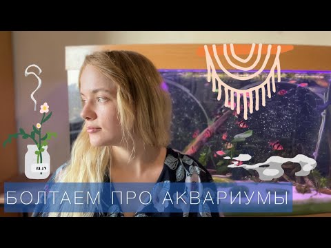 Видео: Исповедь начинающего аквариумиста | наш аквариум год спустя