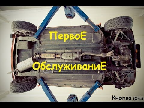 Видео: ПЕРВОЕ Обслуживание после покупки!! Ока Кнопка) Какие же затраты??