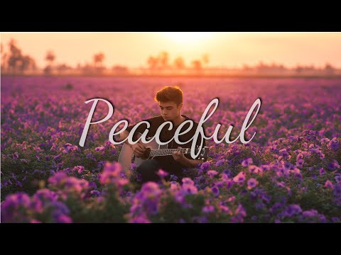 Видео: Petunia Breeze & Guitar Calm: Момент фиолетового покоя