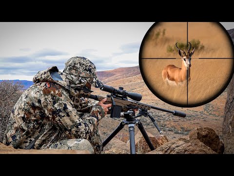 Видео: Охота на равнинную дичь в Африке