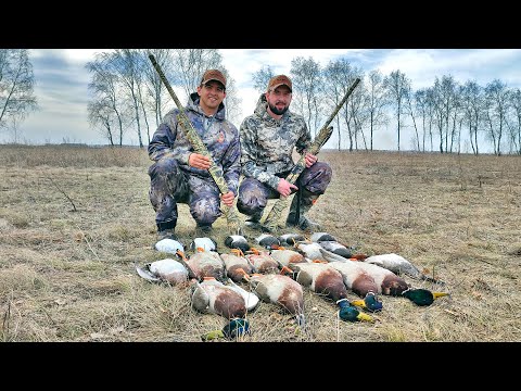Видео: Открытие весенней охоты 2022 | Тысячи уток, полевая кухня и шикарное начало сезона