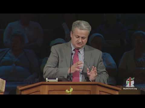 Видео: Горький корень