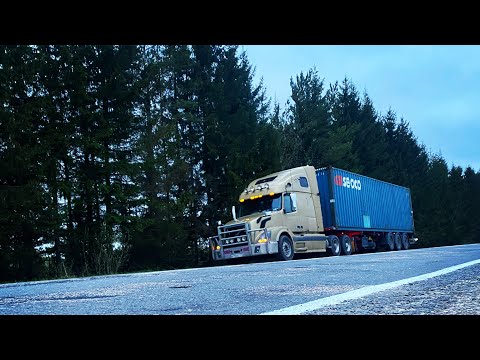 Видео: По московским контейнерным помойкам часть2